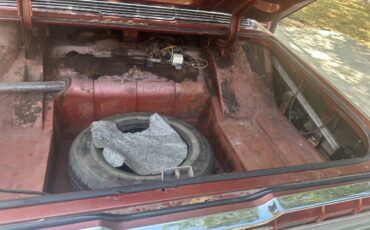 Ford-thunderbird-coupe-1966-brown-13
