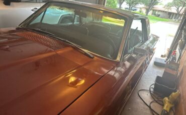Ford-thunderbird-coupe-1966-brown-2