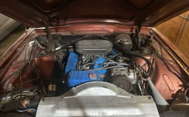 Ford-thunderbird-coupe-1966-brown