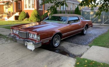 Ford-thunderbird-coupe-1976-3