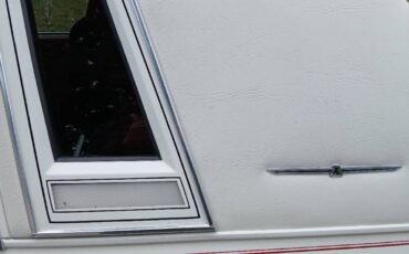 Ford-thunderbird-coupe-1982-6