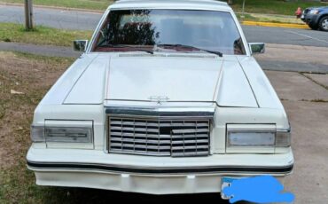 Ford-thunderbird-coupe-1982-8