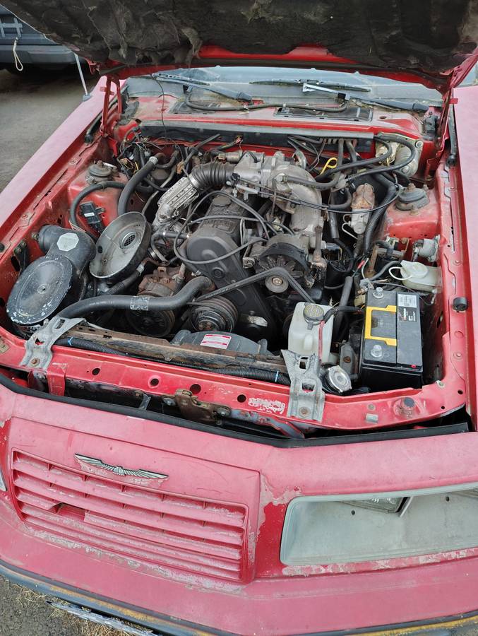 Ford-thunderbird-coupe-1986-red-1