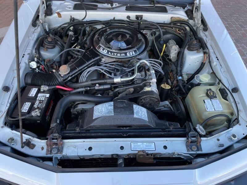 Ford-thunderbird-fila-1984-white-5