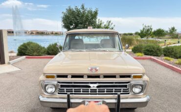 Fordf100-1966-7