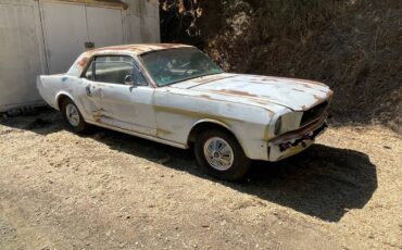 Fotd-mustang-coupe-2-door-1966-1