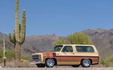 GMC-Jimmy-1979-SUV-5