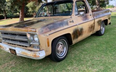 GMC-Pickup-1976-1