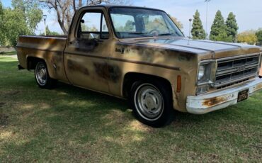 GMC-Pickup-1976-2