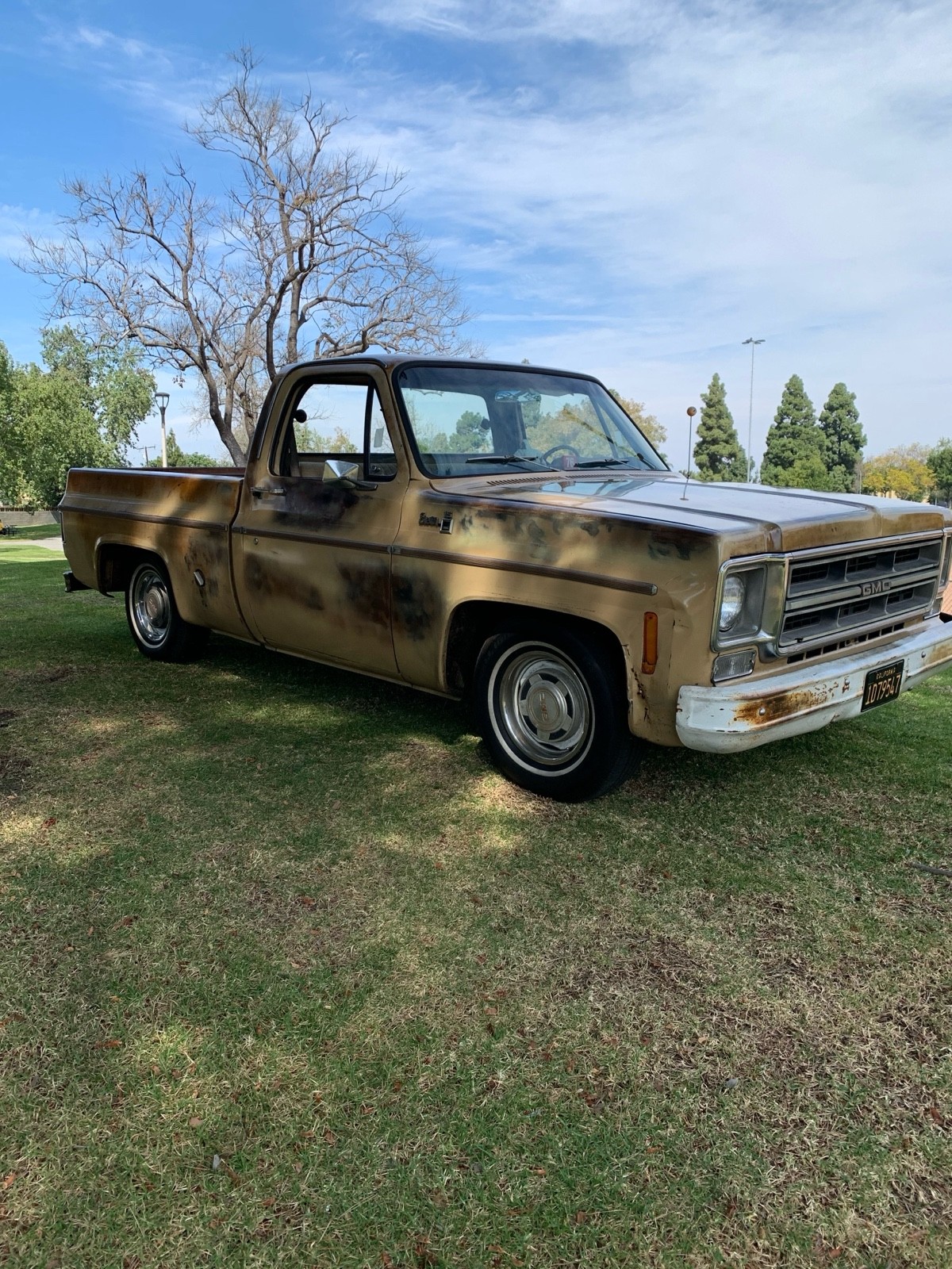 GMC-Pickup-1976-2