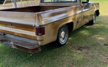 GMC-Pickup-1976-3