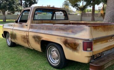 GMC-Pickup-1976-4