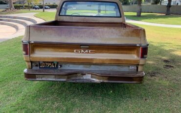GMC-Pickup-1976-5