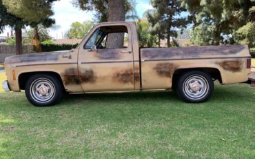 GMC-Pickup-1976-7
