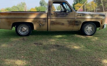 GMC-Pickup-1976-8
