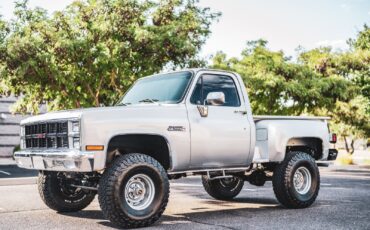 GMC-Sierra-1500-1982-Stepside-3
