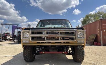 GMC-Sierra-1976-7