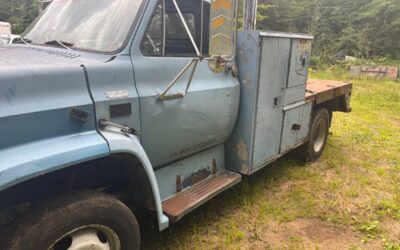 Gm 1982