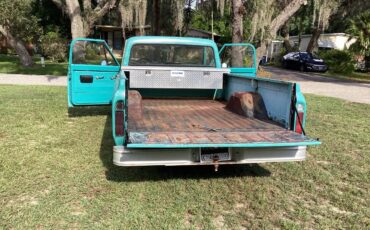 Gmc-1969-2