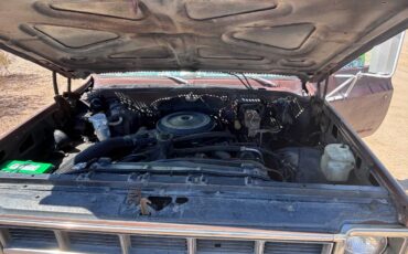 Gmc-1979-brown-5