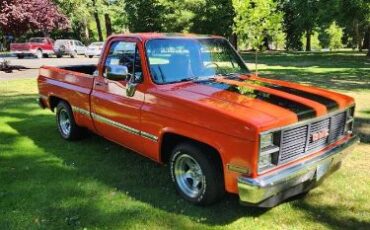 Gmc-C10-1983-OrangeBlack-Stripes