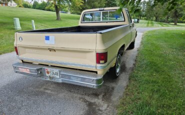Gmc-Sierra-1500-2wd-regular-cab-1985-Tan-Black-1