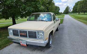 Gmc-Sierra-1500-2wd-regular-cab-1985-Tan-Black-10
