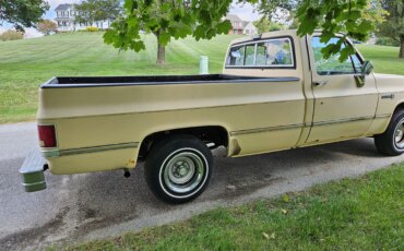 Gmc-Sierra-1500-2wd-regular-cab-1985-Tan-Black-11