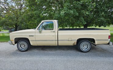 Gmc-Sierra-1500-2wd-regular-cab-1985-Tan-Black-12