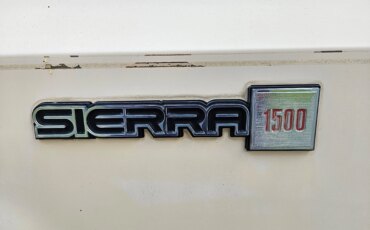 Gmc-Sierra-1500-2wd-regular-cab-1985-Tan-Black-14