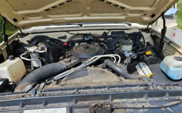 Gmc-Sierra-1500-2wd-regular-cab-1985-Tan-Black-15