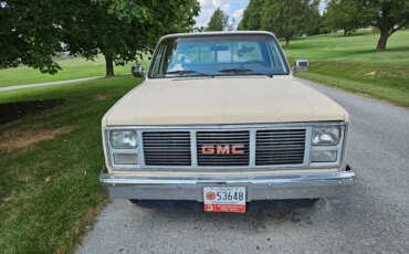 Gmc-Sierra-1500-2wd-regular-cab-1985-Tan-Black-19