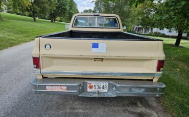 Gmc-Sierra-1500-2wd-regular-cab-1985-Tan-Black-20