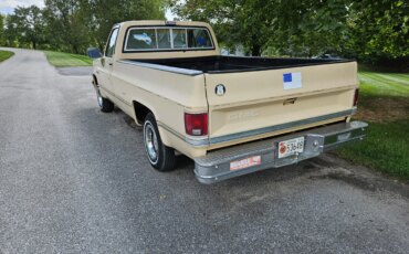 Gmc-Sierra-1500-2wd-regular-cab-1985-Tan-Black-21