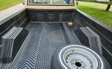 Gmc-Sierra-1500-2wd-regular-cab-1985-Tan-Black-3