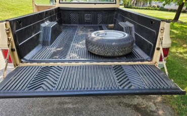 Gmc-Sierra-1500-2wd-regular-cab-1985-Tan-Black-8