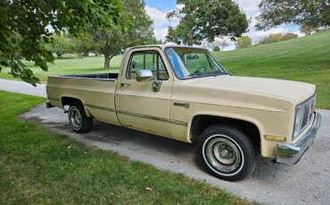 Gmc-Sierra-1500-2wd-regular-cab-1985-Tan-Black-9