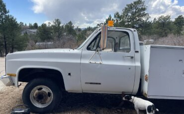 Gmc-Sierra-3500-2wd-regular-cab-1989-White-Tan-13