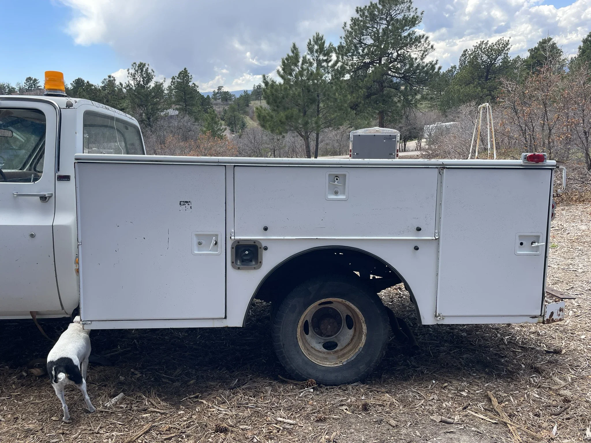 Gmc-Sierra-3500-2wd-regular-cab-1989-White-Tan-16