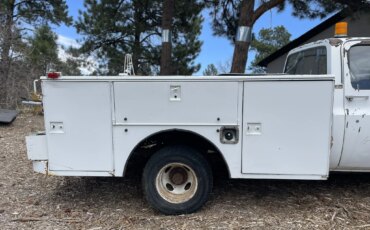 Gmc-Sierra-3500-2wd-regular-cab-1989-White-Tan-19