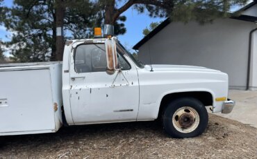 Gmc-Sierra-3500-2wd-regular-cab-1989-White-Tan-20