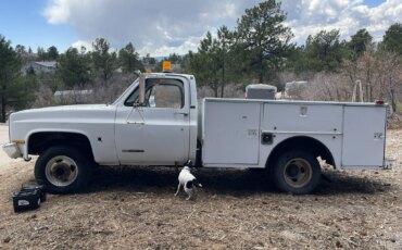 Gmc-Sierra-3500-2wd-regular-cab-1989-White-Tan-23