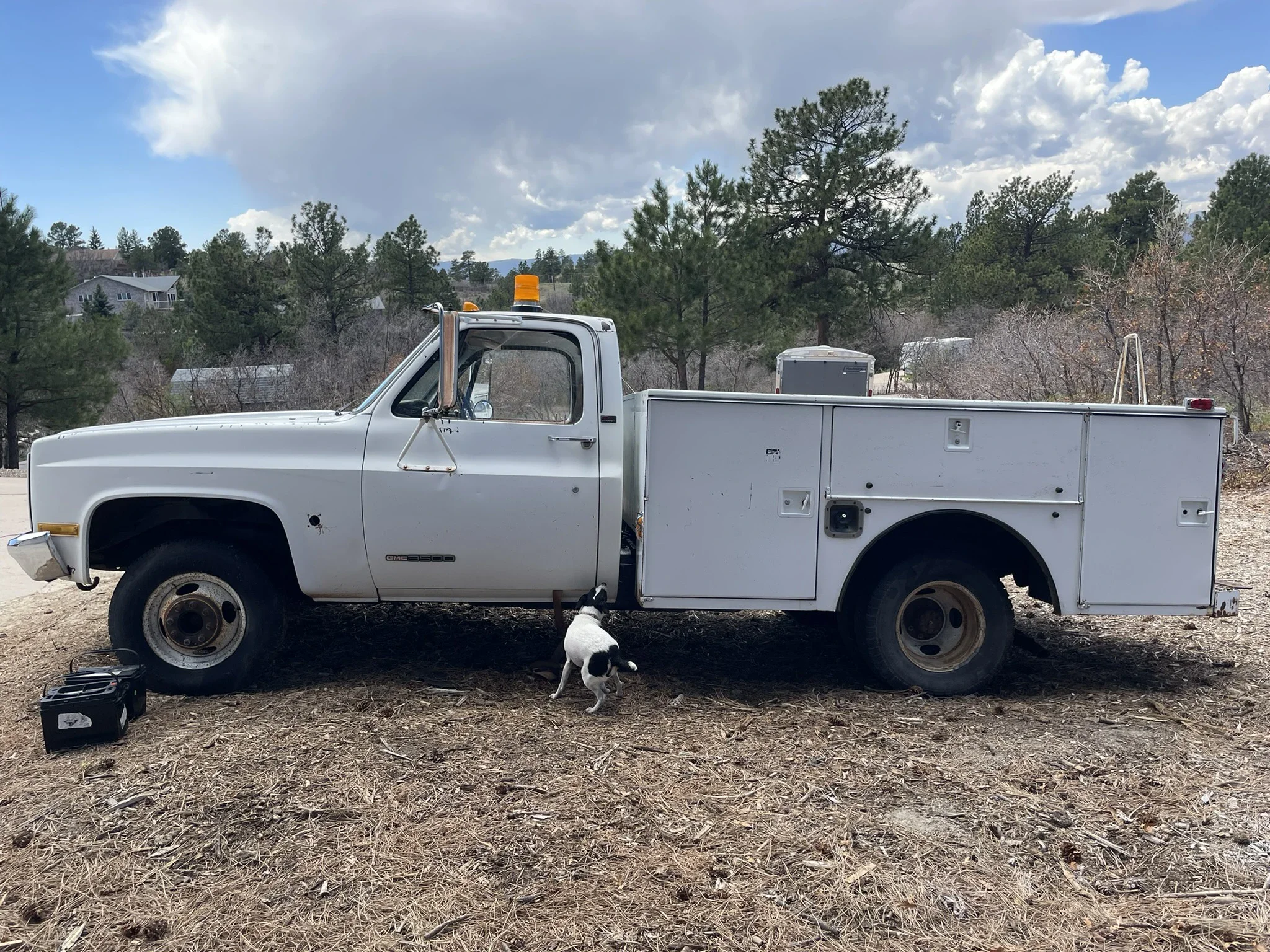 Gmc-Sierra-3500-2wd-regular-cab-1989-White-Tan-23