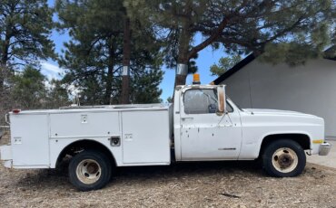 Gmc-Sierra-3500-2wd-regular-cab-1989-White-Tan