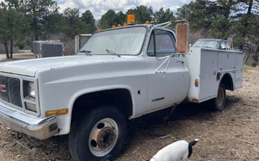 Gmc-Sierra-3500-2wd-regular-cab-1989-White-Tan-5