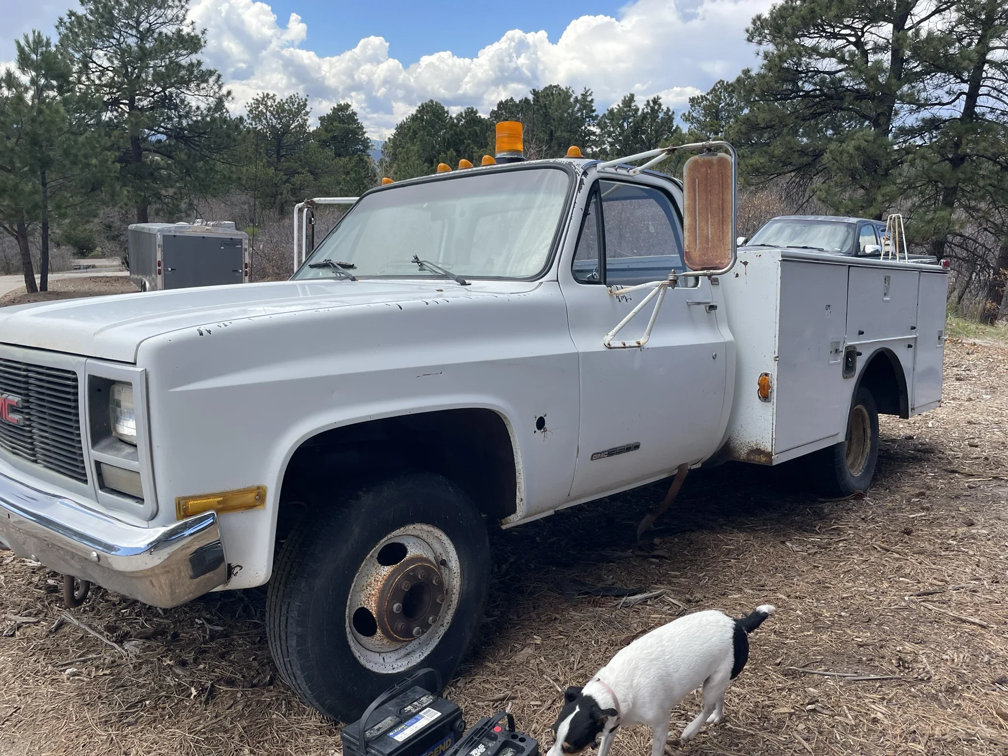 Gmc-Sierra-3500-2wd-regular-cab-1989-White-Tan-5