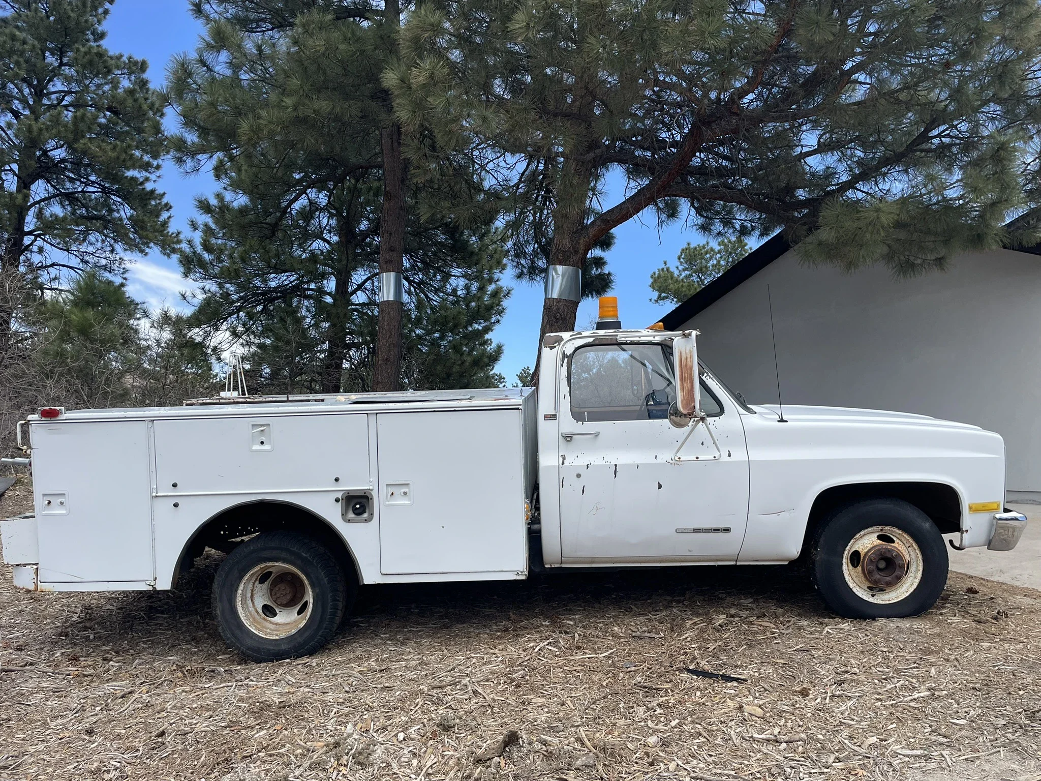 Gmc-Sierra-3500-2wd-regular-cab-1989-White-Tan