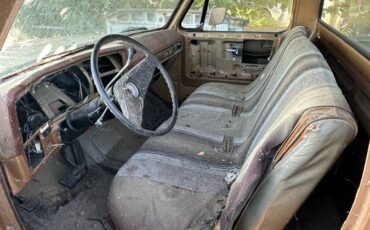 Gmc-c15-1974-brown-1