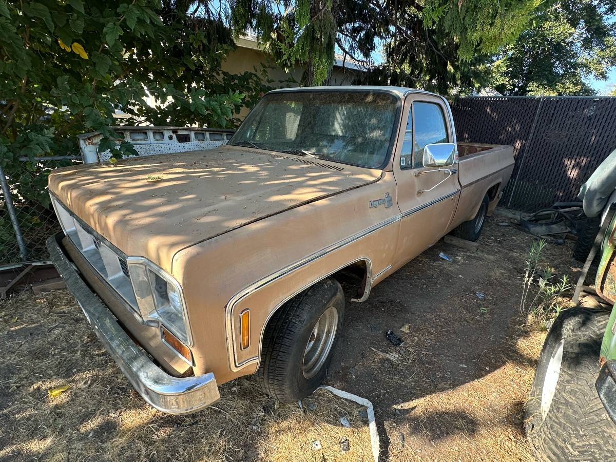 Gmc-c15-1974-brown