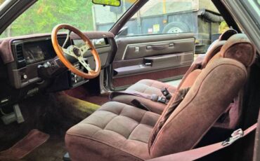Gmc-caballero-1987-purple-4